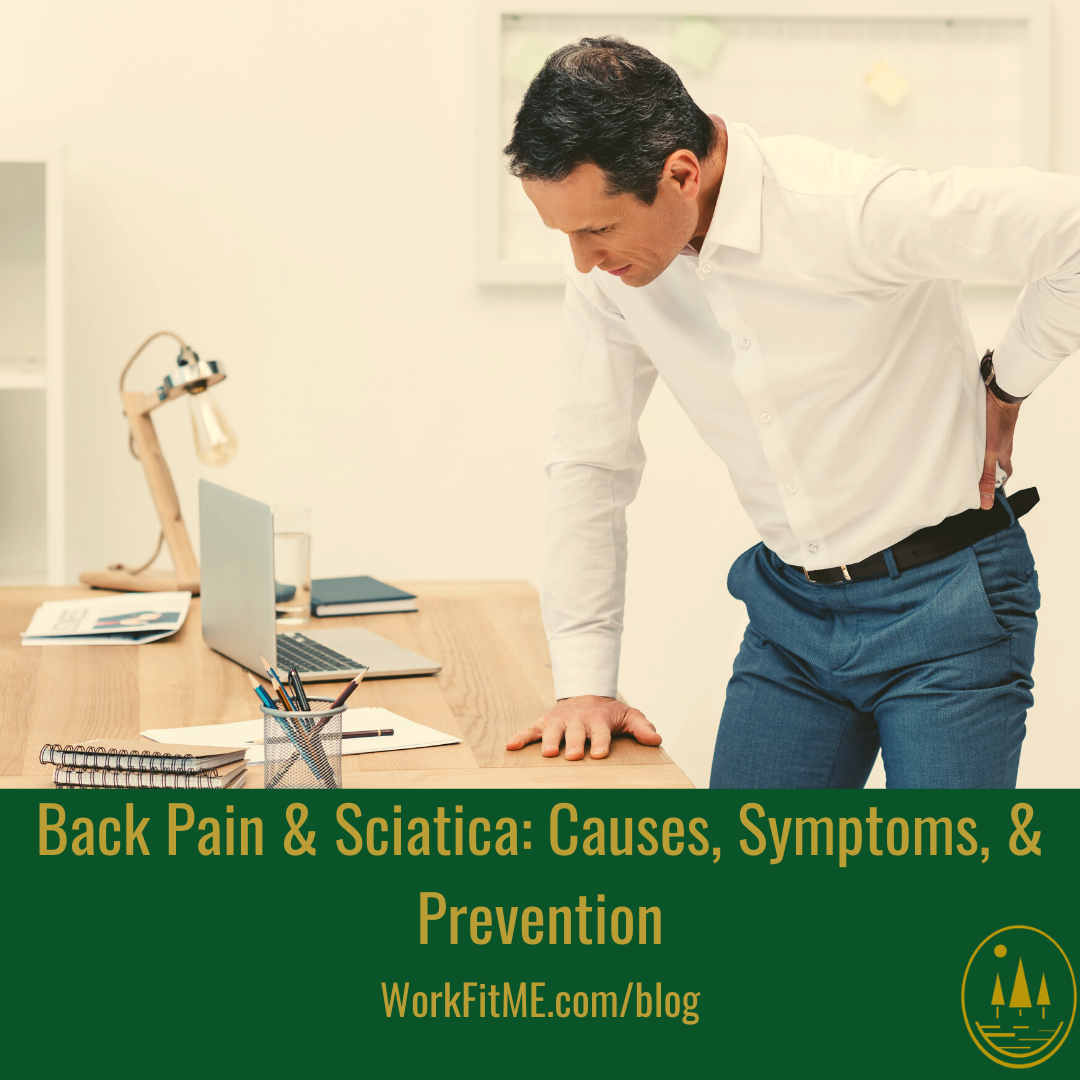 Back Pain & Sciatica: Causes, Symptoms, & Prevention – WorkFitME